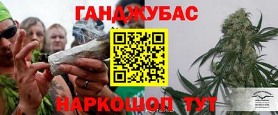 спайс Гагарин