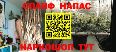 эйфоретик Гай