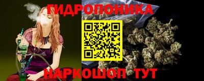 эйфоретик Гатчина