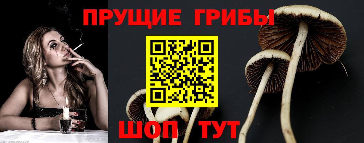 Псилоцибиновые грибы мухоморы  Вход с VPN  Псилоцибиновые грибы прущие грибы  Менделеевск 